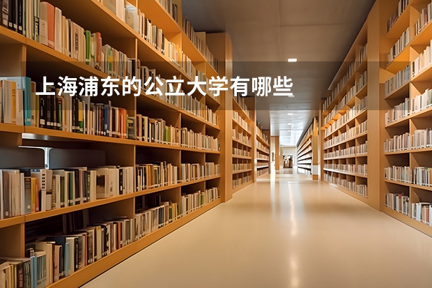 上海浦东的公立大学有哪些