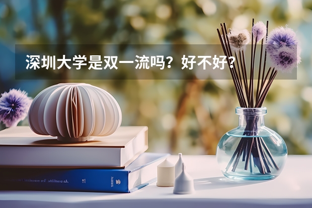 深圳大学是双一流吗？好不好？