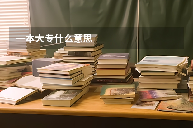 一本大专什么意思