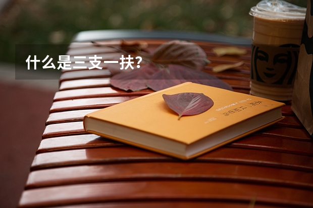 什么是三支一扶？