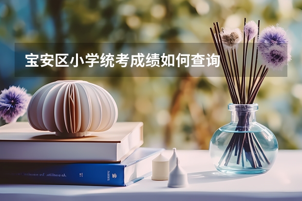 宝安区小学统考成绩如何查询