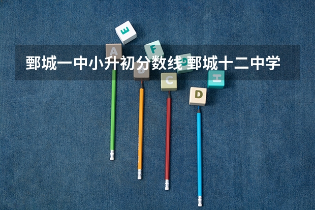 鄄城一中小升初分数线 鄄城十二中学小升初录取分数线