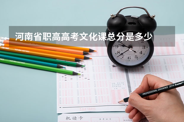 河南省职高高考文化课总分是多少