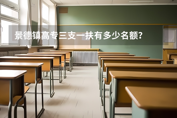 景德镇高专三支一扶有多少名额?