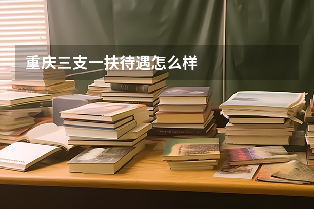重庆三支一扶待遇怎么样