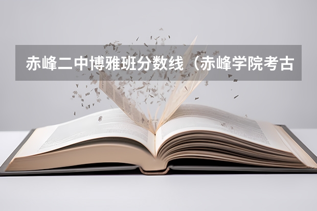 赤峰二中博雅班分数线（赤峰学院考古专业分数线）