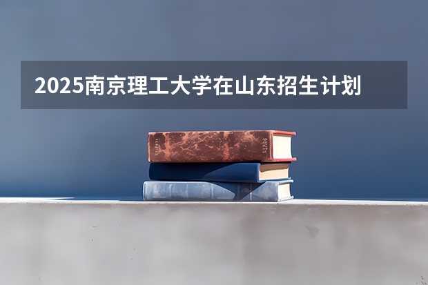 2025南京理工大学在山东招生计划一览表