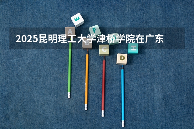 2025昆明理工大学津桥学院在广东招生计划一览表