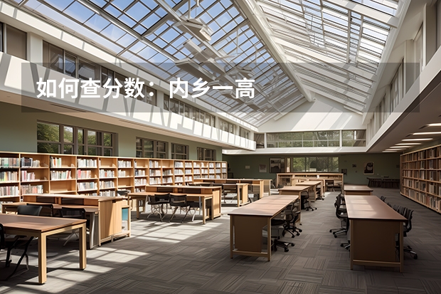 如何查分数：内乡一高