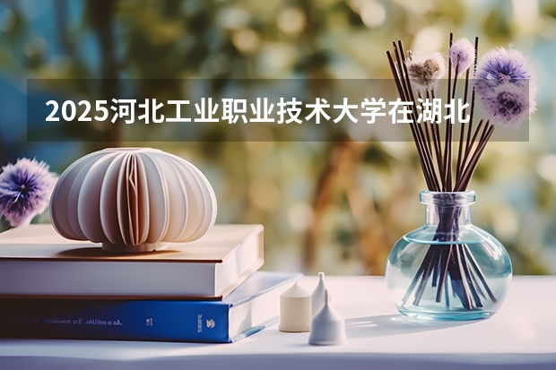 2025河北工业职业技术大学在湖北招生计划一览表