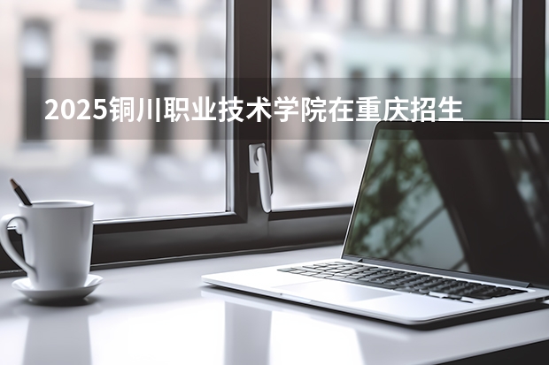 2025铜川职业技术学院在重庆招生计划一览表