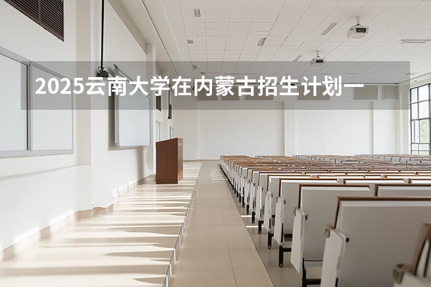2025云南大学在内蒙古招生计划一览表