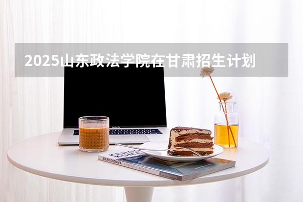 2025山东政法学院在甘肃招生计划一览表