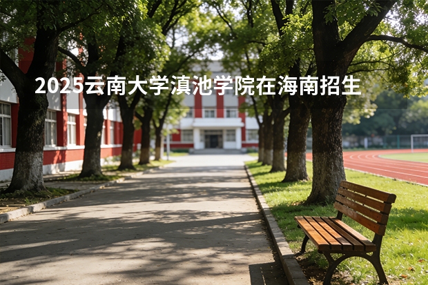 2025云南大学滇池学院在海南招生计划一览表