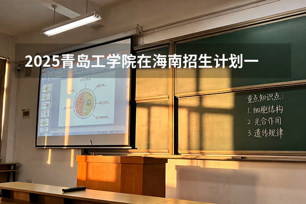 2025青岛工学院在海南招生计划一览表