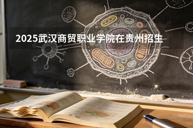 2025武汉商贸职业学院在贵州招生计划一览表