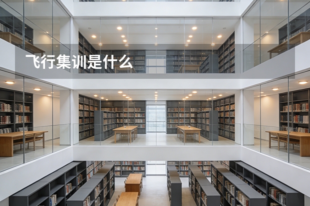 飞行集训是什么