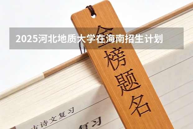 2025河北地质大学在海南招生计划一览表