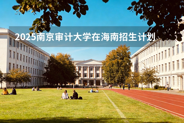 2025南京审计大学在海南招生计划一览表