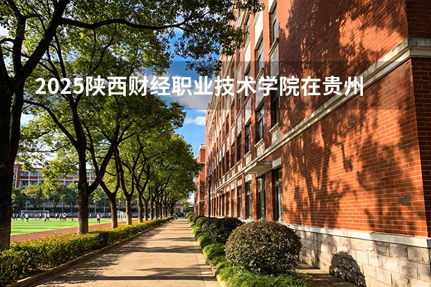 2025陕西财经职业技术学院在贵州招生计划一览表