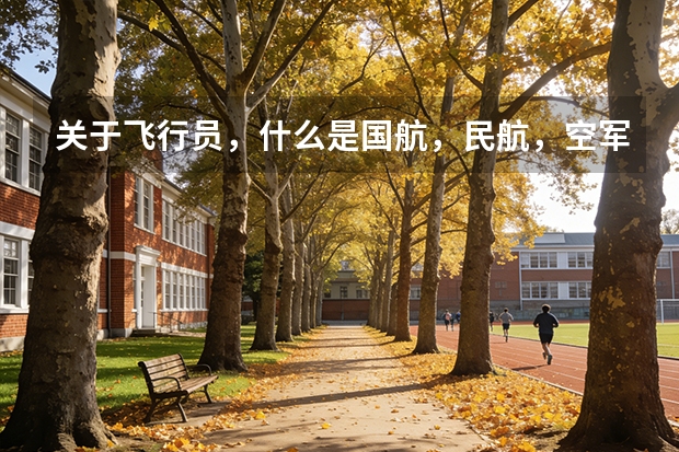 关于飞行员，什么是国航，民航，空军？