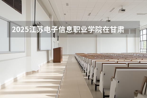 2025江苏电子信息职业学院在甘肃招生计划一览表