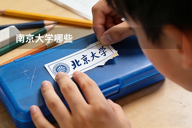 南京大学哪些