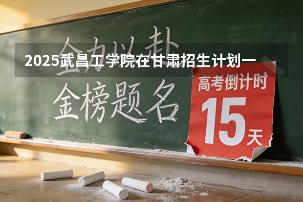 2025武昌工学院在甘肃招生计划一览表