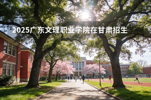 2025广东文理职业学院在甘肃招生计划一览表